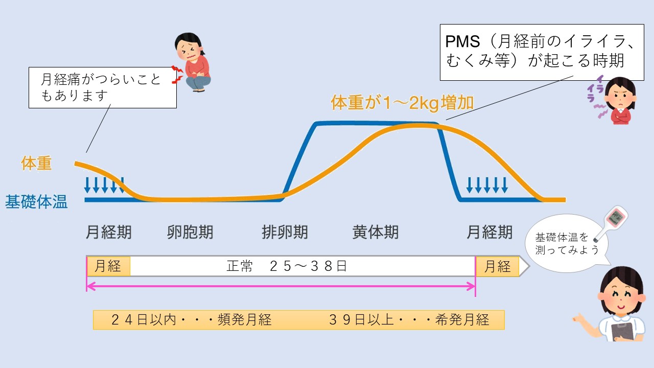 視床下部性無月経とは？　その2